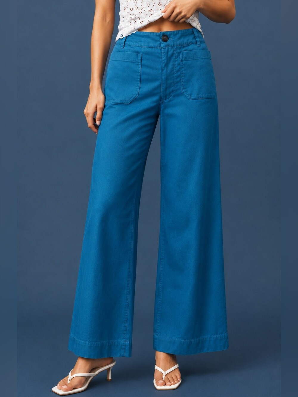 Maeve Anthropologie Colette Full Length Wide Leg Pants Blue Linen Blend 24P